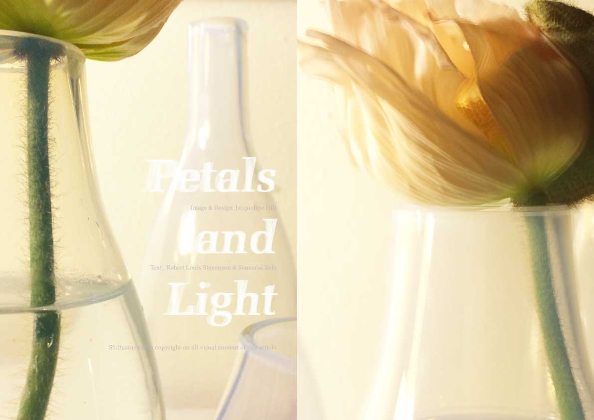 Petal&Light.A.lo