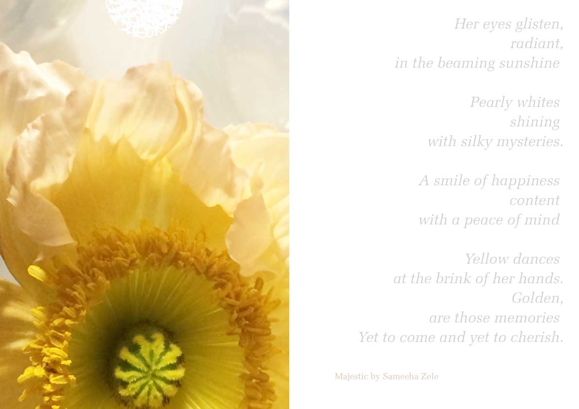 Petal&Light.C.lo
